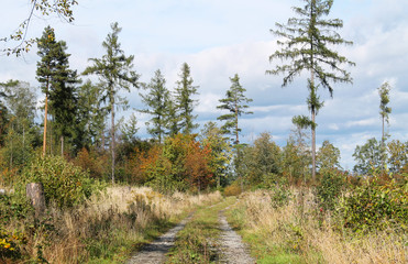 path leading through the nature in autumn, Beskids, Czech Republic