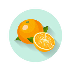Oranges vector illustration. Oranges icon. Fresh healthy food - organic natural food isolated