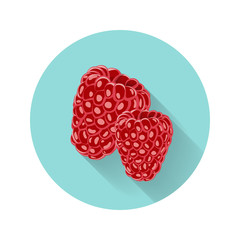 Raspberry vector illustration. Raspberry icon. Fresh healthy food - organic natural food isolated