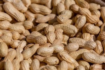 In shell peanuts closeup, selective focus on sunlight