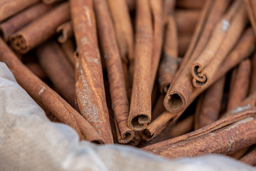 cinnamon sticks isolated on white background