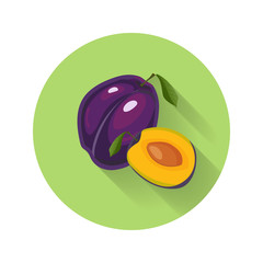 Plum vector illustration. Plum icon. Fresh healthy food - organic natural food isolated