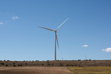 Parque eólico en la tierra produce energía eléctrica
