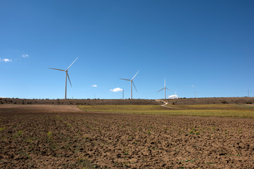 Parque eólico en la tierra produce energía eléctrica