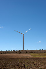 Parque eólico en la tierra produce energía eléctrica