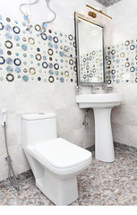 Modern washroom, bathroom with the toilet sit, sink - Interior design of washroom