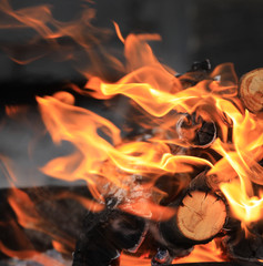 Fototapeta premium burning firewood for barbecue and barbecue