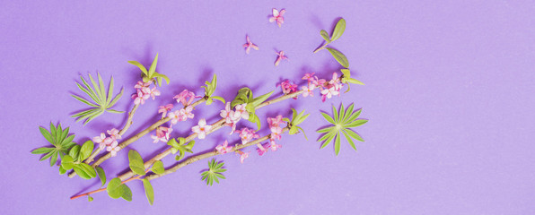Obraz na płótnie Canvas spring flowers on violet background