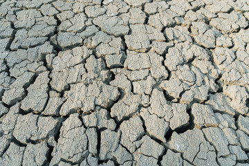 The impact of global warming on sun-cracked soil and the loss of all fauna and flora.