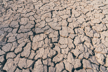 The impact of global warming on sun-cracked soil and the loss of all fauna and flora.
