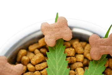 CBD food for Dogs Wellness, Natural supplements for animals and pets with medicine treats like bone. Legal weed products and medicinal applications of marijuana concept theme