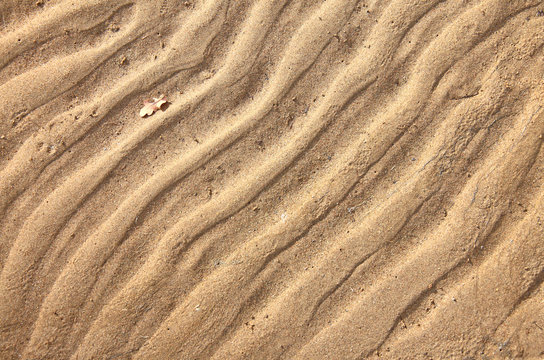 texture of sand. footprints in the sand.