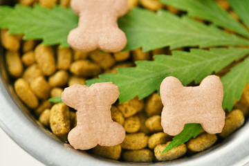 CBD food for Dogs Wellness, Natural supplements for animals and pets with medicine treats like bone. Legal weed products and medicinal applications of marijuana concept theme