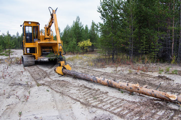 Bandit 2090 chipper. Clearing the felling site from branches.