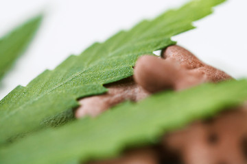 Concept of medical marijuana for pets concept. Hemp Dog Treats. Legal medicinal applications of marijuana-themed CBD food for Dogs Wellness