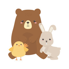cute bear chicken and rabbit little animal cartoon isolated design