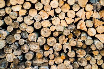 Fototapeta premium round wood firewood background