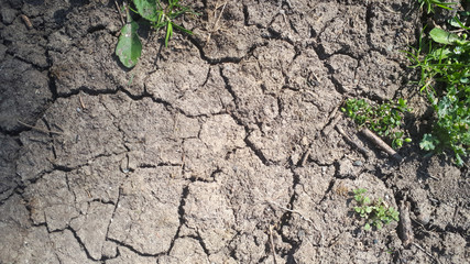 Drought, the ground cracks, no hot water, lack of moisture. Dried and Cracked ground,Cracked surface,Dry soil