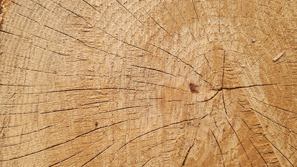 Dark shaded wood tree ring background texture. Wood rings with cracked surface