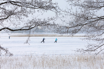 Skiers