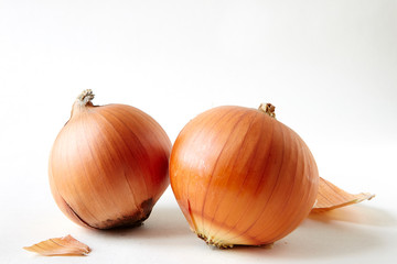 onions on white Infinity cove background