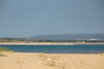 Fototapeta na wymiar A beach and sand dunes in North Devon
