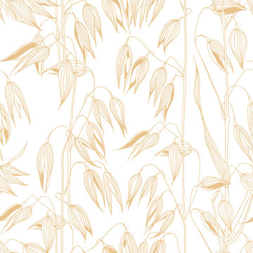 Oats. Seamless vector pattern on white. Floral background.