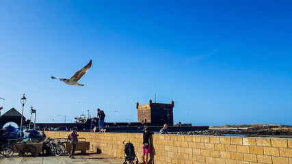 Essaouira : port