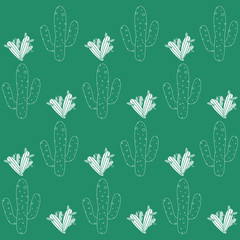 Set of seamless pattern with cactus, succulents and floral elements. Vintage vector botanical illustration. Background ready for printing on textile and other seamless design