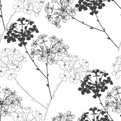 Seamless vector pattern with flowers. Nature background. Black and white.