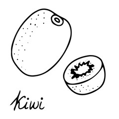 Hand drawn vector isolated food icon. Black outline illustration of tropical fruit. Kiwi icon. 