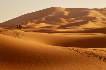 Fototapeta na wymiar Carovana nel deserto