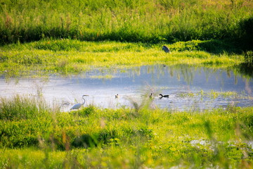 아름다운 호숫가의 풍경