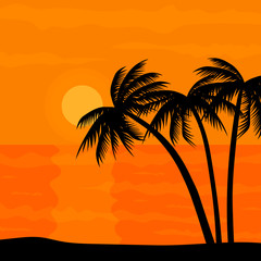 Fototapeta na wymiar Sunset beach sea palm vector landscape image
