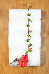 Beauty and spa concept. White towels and red flower on bamboo tray on marble background.