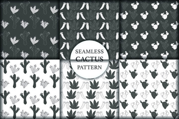 Set of seamless pattern with cactus, succulents and floral elements. Vintage vector botanical illustration. Background ready for printing on textile and other seamless design