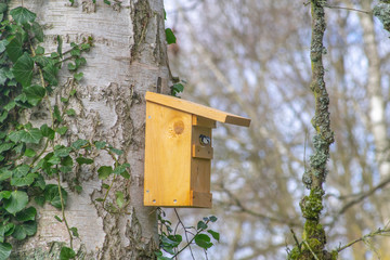 birdhouse on tree