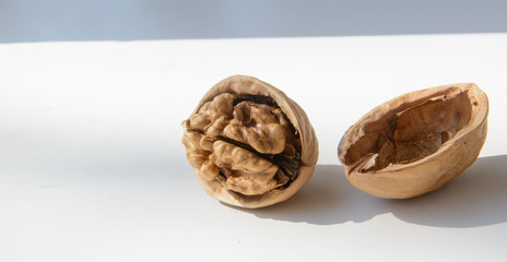 Walnut and half shell on a white board. The concept is to open your mind, to be open to the world.