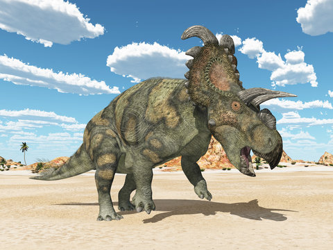 Dinosaurier Albertaceratops