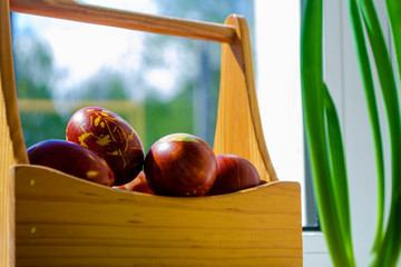 Easter eggs are coloured by the ancient onion husk method with various natural patterns in box by window in sunshine on beige burlap next to sprouted green onion. Concept of light Christian holiday