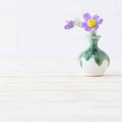 pasque-flower in vase on white wooden background .