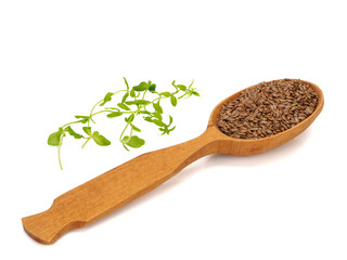 Flax seeds in a wooden spoon and flax sprouts on white background