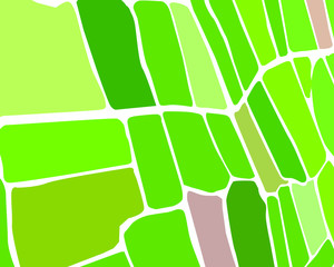 decorative carpet free pattern green
