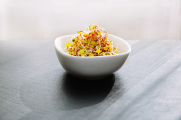 Fresh radish sprouts in a white bowl isolated on black background. Concept for a tasty and healthy vegetarian meal. 