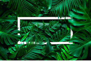 tropical green leaves and palms with white paper note frame, nature flat lay concept