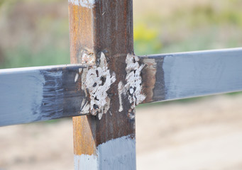 Welding the metal posts, steel beams, metal frame for a panel fence.