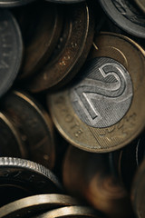 Polish currency coins close up with blurred background