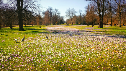 Obraz premium Sondermarken Frederiksberg Park in Copenhagen, Denmark
