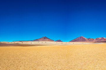 Dali Desert at Clearly Day in Eduardo Abaroa National Park, Uyuni, Potosi / Bolivia