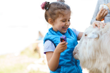 girl touching white goat head